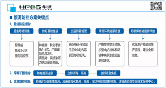 警惕病毒性腹泻明显反弹，规模猪场该如何应对？
