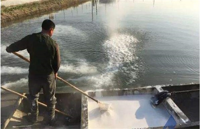 螃蟹养殖注意那几点