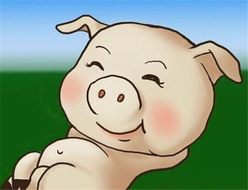 大蒜在猪病防治中的妙用,原来这些猪病用大蒜就可以治好