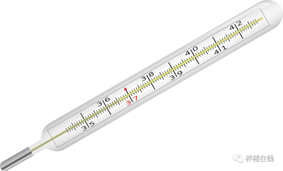 临床母猪发生低温原因是什么?怎么办?