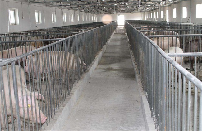 冬季猪舍潮湿怎么办