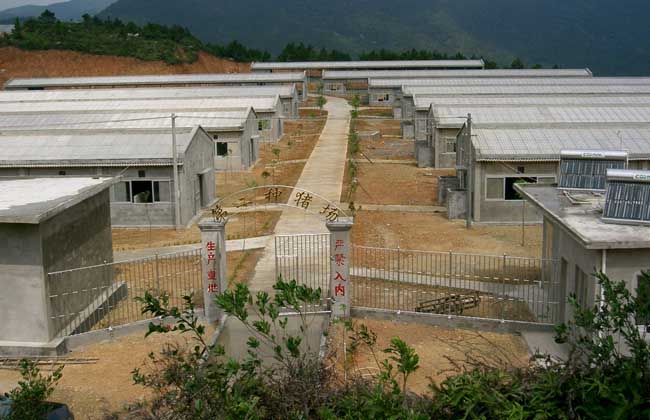 标准化养猪场建设方案