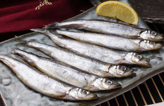 多春鱼为什么都有籽?