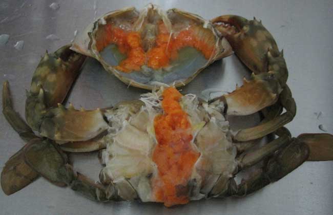 三门青蟹什么时候上市?