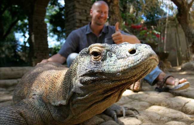 科莫多巨蜥吃人吗?