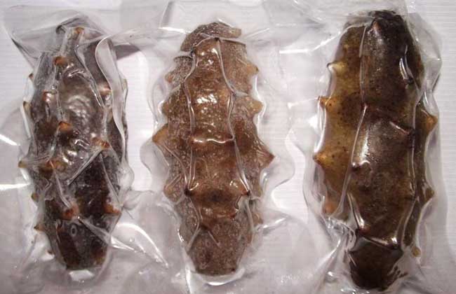 即食海参产地在哪里？