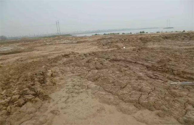 土壤盐碱严重怎么改良