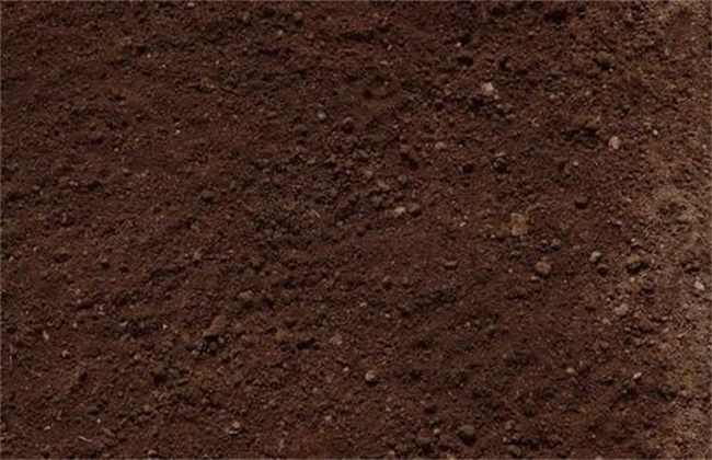 果园翻土有什么影响