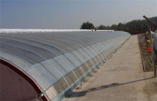 冬季大棚温度低的原因