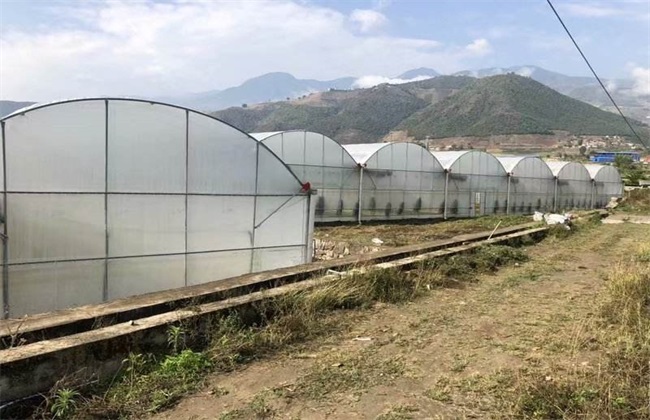 大棚更茬换季注意什么