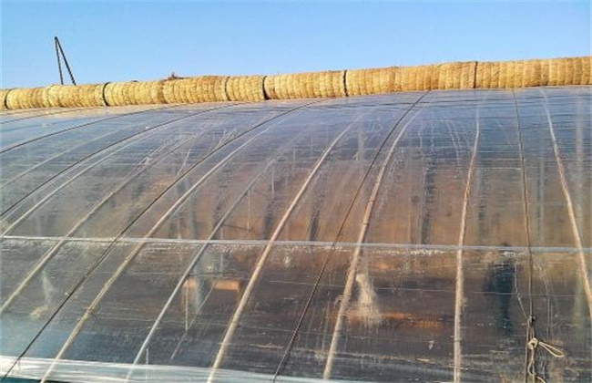 如何延长大棚膜的使用寿命