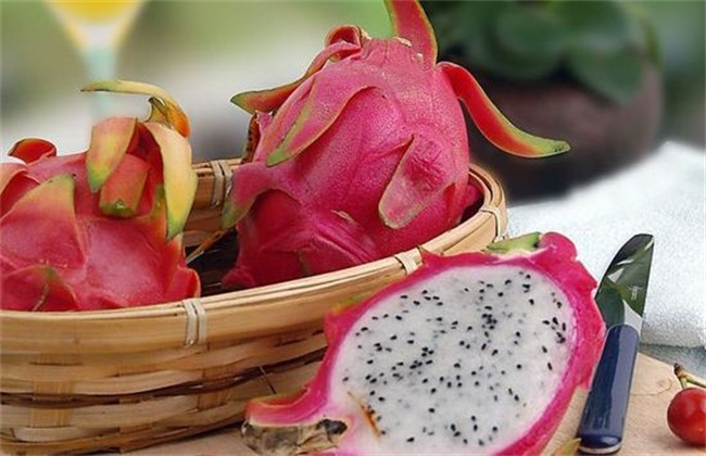 火龙果是热性还是凉性