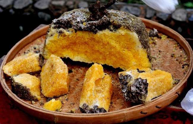 蜂胶是什么东西?