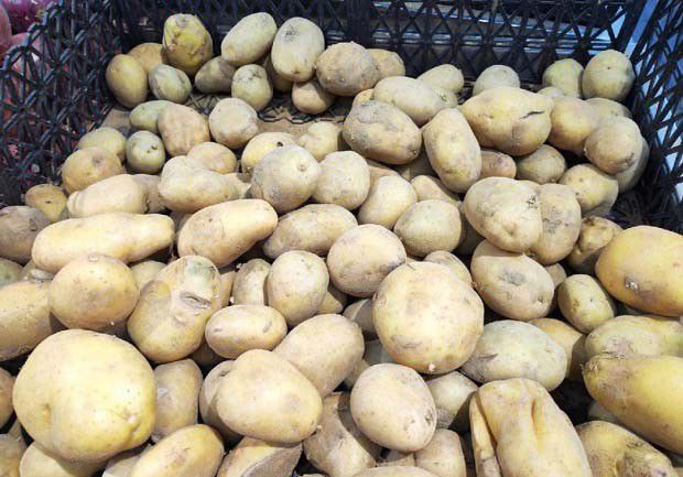 农业技术防治措施有哪些？