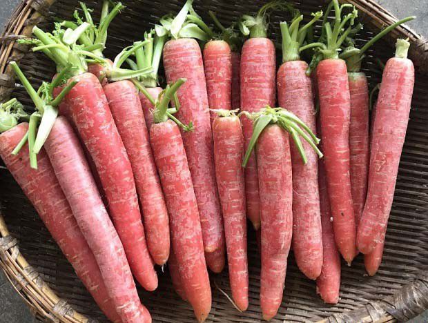 什么是绿色食品？