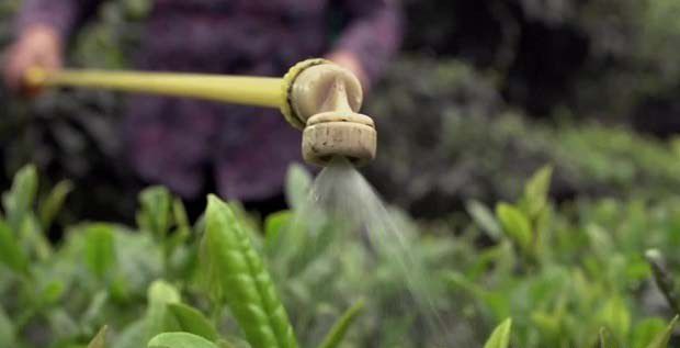 控制农药残留的方法有哪些？