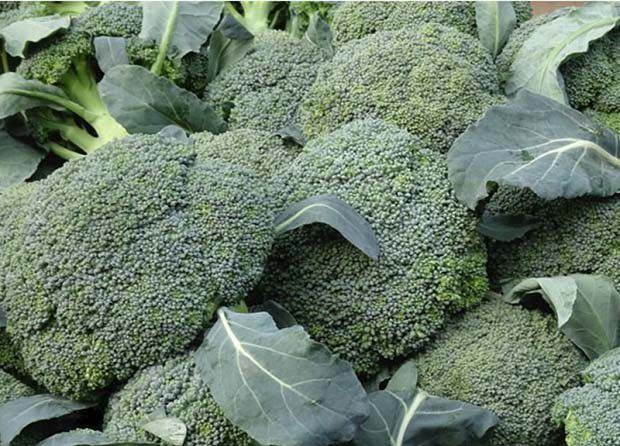 导致农药残留超标的原因是什么？