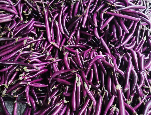 引起蔬菜农药残留超标的因素有哪些？