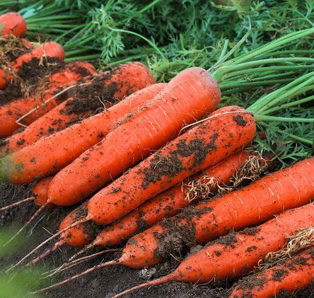 《中华人民共和国农产品质量安全法》对产地坏境打哪些要求？