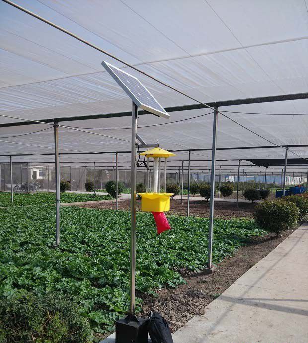 杀虫灯的工作原理是什么？