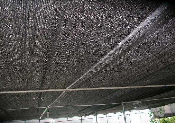 防虫网在蔬菜上如何使用？