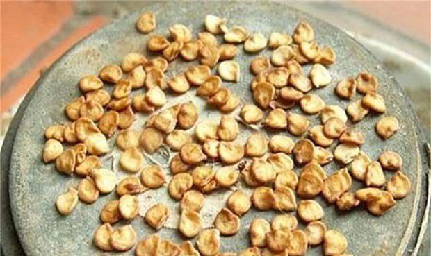 蔬菜种子和菜苗如何选择与购买？