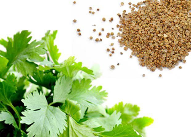 怎样选择合适的种菜容器？