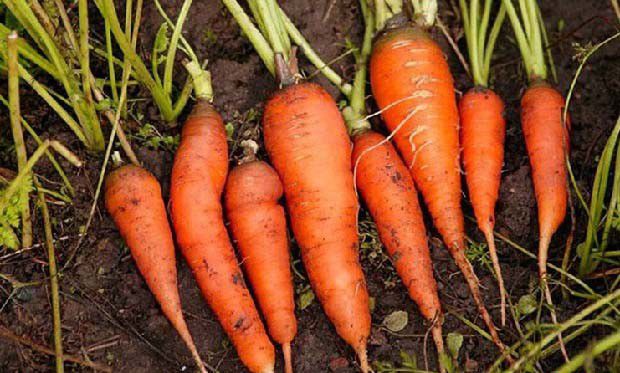 什么是农药残留？