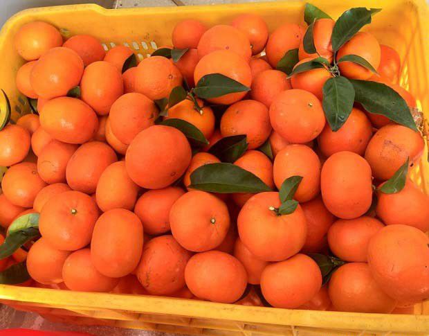 农产品使用保鲜剂、防腐剂和添加剂等材料，应遵守什么标准？