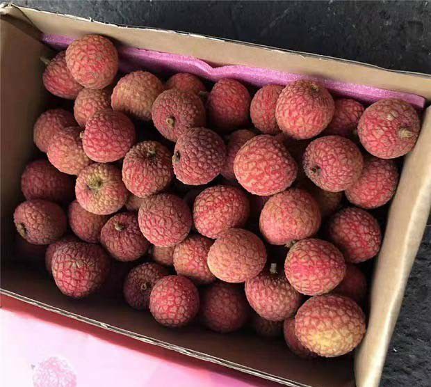 农产品生产记录应记载哪些事项？应保存多久？未建立或保存农产品生产记录应该承担什么 ...