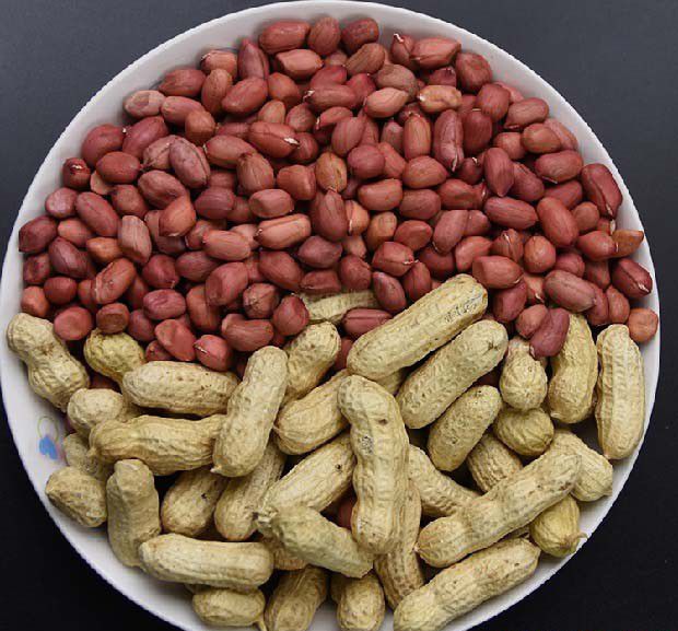 购买种子时应该注意哪些问题？