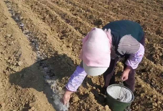 土壤的“体温”是由什么决定的？