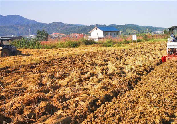 什么是土壤结构体？