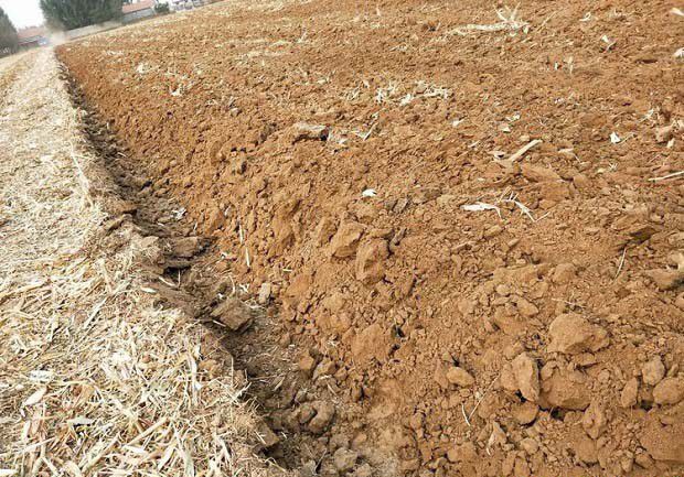 土壤会呼吸吗？