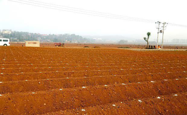 土壤中的水分作物都能够“喝”吗？