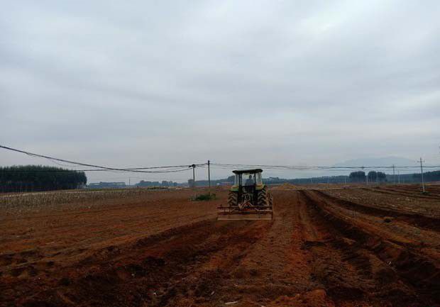 南方土壤矿物组成有什么特点？