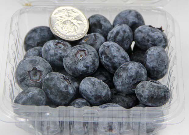 影响水果呼吸强度的因素