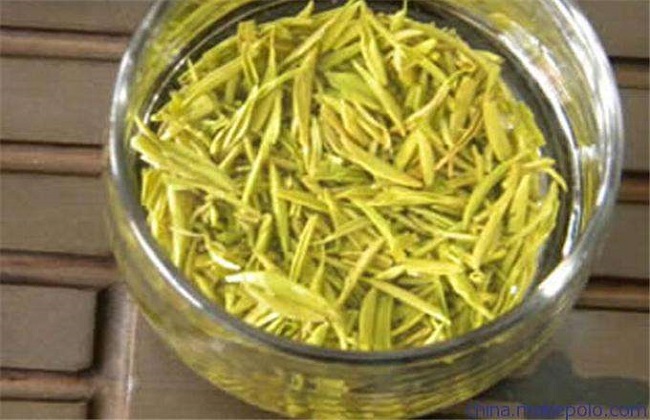 茶叶的品种简介及图片大全