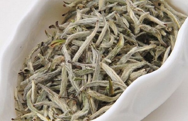 茶叶的品种简介及图片大全