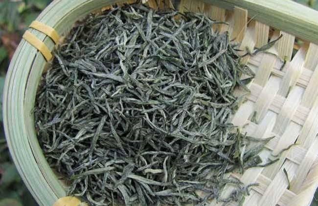 茶叶的品种简介及图片大全