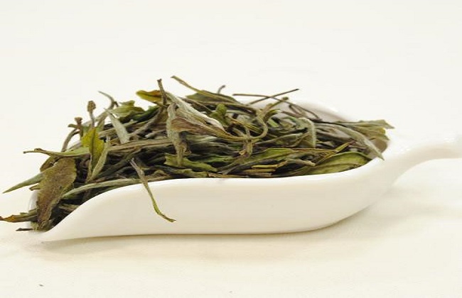 如何辨别白茶的好坏