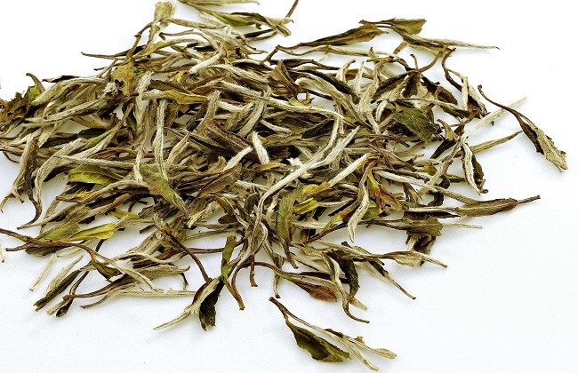 如何辨别白茶的好坏
