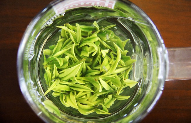 如何辨别白茶的好坏