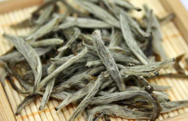 白毫银针原产地在哪里?