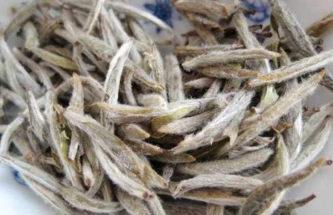 白毫银针原产地在哪里?