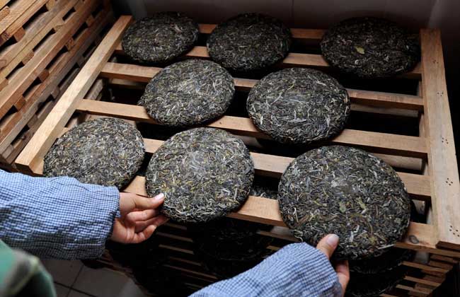 普洱茶产地在哪里?