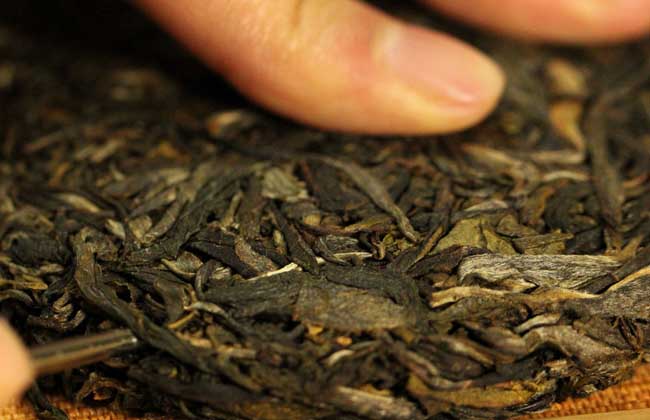 普洱茶属于什么茶?