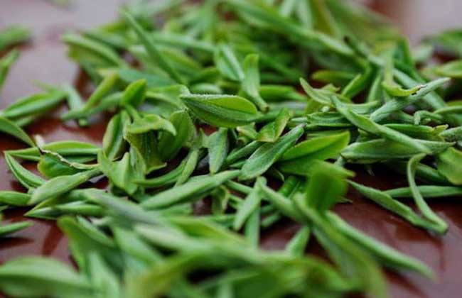 信阳毛尖哪个牌子好?