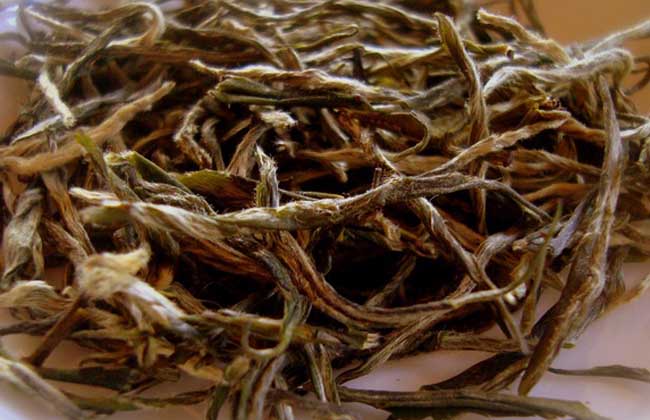 信阳毛尖哪个牌子好?