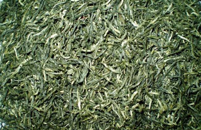 信阳毛尖属于什么茶?